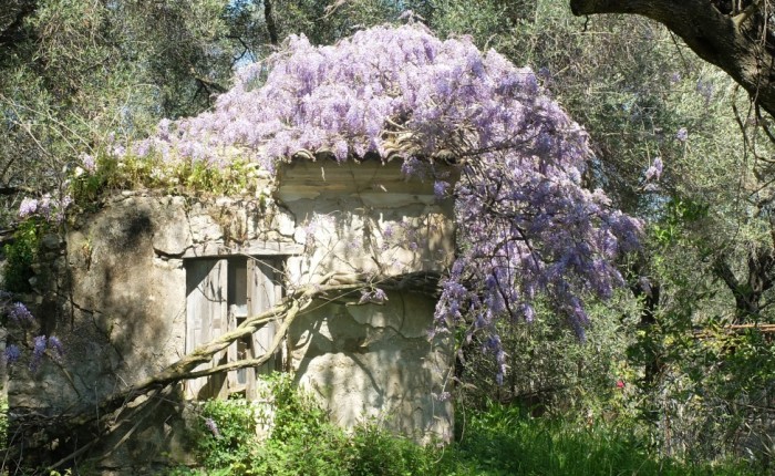 April in Corfu